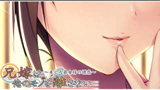 【AVG/PC】兄嫁は俺のモノを離さない～未亡人若女将の誘惑～【度盘/生肉/410M】