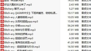 【补档/ASMR】Bitch-ery女王套餐33部社保音集合【度盘/591M】