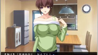 【SLG/PC/游戏】自宅警备员 额外加番剧【2.1G/度盘】