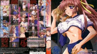 【里番】OVA Grope～闇の中の小鳥達～【210MB】