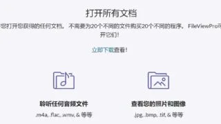 【软件推荐】号称能打开任何文件的嚣张软件-FileView Pro