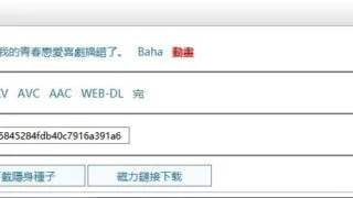 【技术教程】找到的动漫BT、磁力下载站点