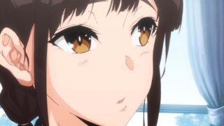 【里番】【生肉】サキュバステードライフ THE ANIMATION 第1巻 【度盘149M】
