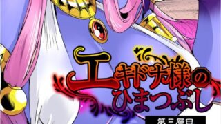 【本子】艾姬多娜大人的消磨时间【度盘/203M】