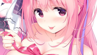【CG】魅魔星奏【度盘/248MB】