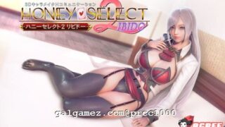 【3D/I社/糖送元明清】HoneySelect 2：原欲8月最新整合版 精修汉化步兵【大更新/65G】