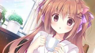 【PC/汉化】巧克甜恋【度盘/1.2GB】