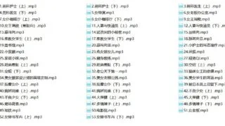 【ASMR】哈尼合集 1.40GB 音频