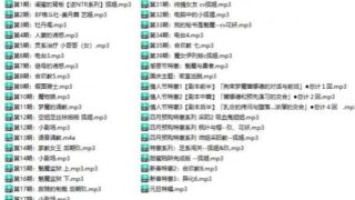 【神级音声/超珍稀】阿木木：1-2季大合集+全番外！超社保111部定制大合集【ASMR/6G】