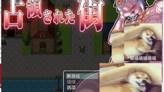 【RPG/汉化/动态】被魔军占领的街道！PC/安卓 精翻汉化完结版【新汉化/2G】
