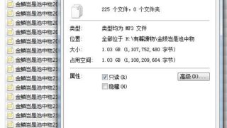 【三次元】 叶倩彤 - 金陵岂非池中物-音频全收录mp3音频【度盘1.03GB】