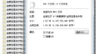 【三次元】 叶倩彤 - 金陵岂非池中物-音频全收录mp3音频【度盘1.03GB】