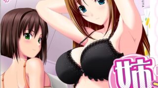 【ADV/动态CG拔作/生肉】姉です。～姉死覚悟の「弟しぼり」な夏が来る!～【度盘/2.74G】