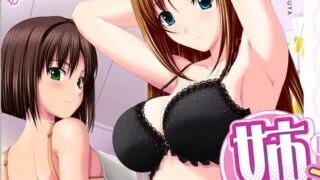 【ADV/动态CG拔作/生肉】姉です。～姉死覚悟の「弟しぼり」な夏が来る!～【度盘/2.74G】