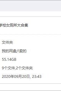 【三次元/视频】(真的最后一补)厕所大合集【度盘 转到 秒传链接 空格分隔 /55G】