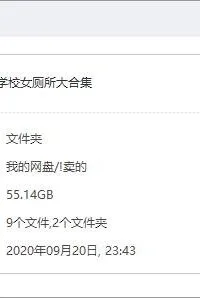 【三次元/视频】(真的最后一补)厕所大合集【度盘 转到 秒传链接 空格分隔 /55G】