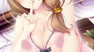 【ADV/生肉】ヒーリング・デイズ ～年の差彼女との甘々生活～ 【秒传/磁力/856MB】