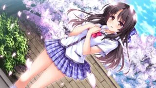【ADV/汉化】私奔【度盘/641MB】