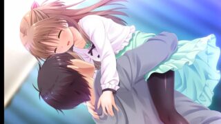 【ADV/KRKR】【无下载】哥哥，早上起床之前都要抱紧我哦！[度盘/819.35MB]