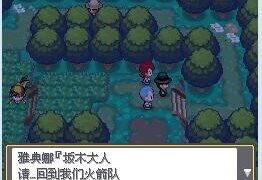 【养成】口袋妖怪绝对魂银the end1.0【已补】