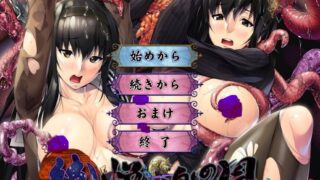 【ADV/日文硬盘版/附全CG】続・悦楽の胤【度盘/4G】