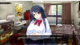 【ADV/PC/安卓】 霸凌新娘 游戏 度盘盘解压码在包内