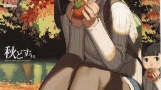 【本子/萝莉/多画师】COMIC LO 2010年合集（第70期~第81期）