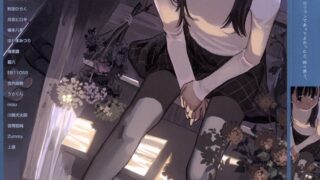 【本子/萝莉/多画师】COMIC LO 2006年合集（第22期~第33期）