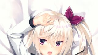 【图集|链接已补】个人整理|柚子社抱枕图