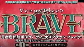 【里番】勇者产卵触手【300MB/度盘】