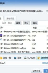 【三次元】2019国内自拍偷拍合集500部高清露脸无水印（附带2T精品种子）【磁力】