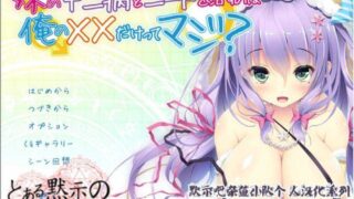 【AVG/拔作/汉化】就用我的××便能治好妹妹的中二病和家里蹲吗？【度盘/OneDrive/333M】