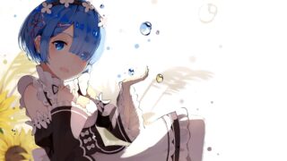 【本子？】RE0合集【度盘/1.79GB】