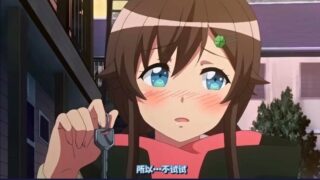 【里番/中文】备用钥匙【度盘/214M】