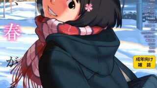 【本子/萝莉/多画师】COMIC LO 2016年合集（第142期~第153期）