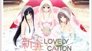 【PC】新妻LOVELY×CATION共通线汉化（建议别玩汉化）