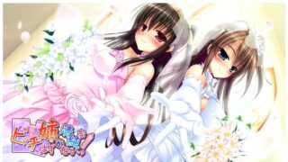 【ADV/萌拔/生肉/合集】ビッチ××が清純なはずがないっ！ トリロジーボックス【秒传/18.3G】