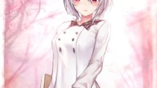【2D同人/全动态CV/步兵】Luminous Art新作可可萝【1.88G】
