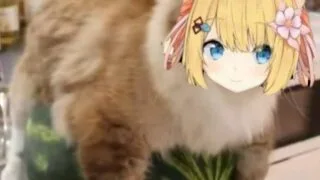 【本子/全彩】21 猎奇/萌/狗/美少女 把美少女头像贴在狗狗身上最hentai了 【260M/度盘】