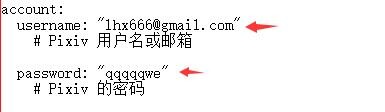 【PC端/软件】 Pixiv Biu 无需翻墙 支持检索名字 日周年榜 — 第 3 张 pwd