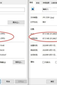 【三次元】高清版绿洲舞娘超级清晰！！！！！