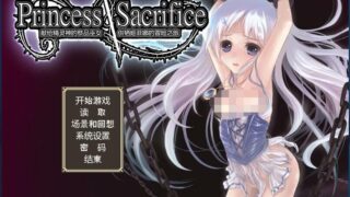 【游戏】Princess Sacrifice ～祭品公主菲娜的冒险～