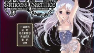 【游戏】Princess Sacrifice ～祭品公主菲娜的冒险～