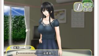 【免萌币/触摸SLG汉化全动态】和侄女的夏天 夏、めいと V1.2.0 完整汉化版 【1G】
