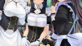 【3D】[200731][KISS]カスタムオーダーメイド3D2＋ GP-01Fb パッケージ版[7.07G]