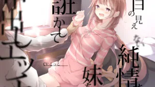 【ASMR】[RJ304923][こっこ]目の見えない純情な妹をたぶらかして中出しエッチ【度盘】