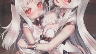 【汉化/萝莉本】(loli+百合)属性本子20本（部分全彩）