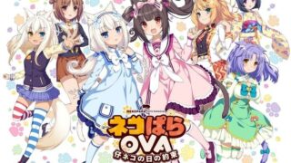 【安卓】小猫之日的约定