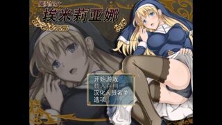 【ARPG/度盘云/秒链/PC/安卓（安卓请用joi）附CG+存档】魔契圣女-埃米莉亚娜