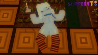 【Minecraft/H动画】SlipperyT制作的部分成人版MC动画，6V，442M【毒盘】